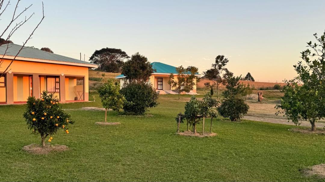 אזולוויני Mdzimba Mountain Lodge מראה חיצוני תמונה